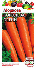 Морковь КОРОЛЕВА ОСЕНИ 2гр ГВ