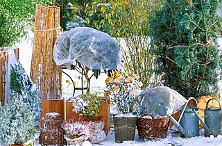 Укрытия зимние для растений