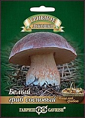 Гриб БЕЛЫЙ сосновый 15мл ГВ