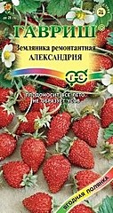 Земляника АЛЕКСАНДРИЯ 0.03гр ГВ