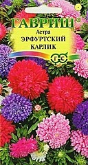 Астра ЭРФУРТСКИЙ КАРЛИК смесь 0,3гр ГВ