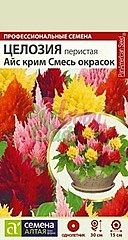 Целозия АЙС КРИМ смесь 10шт СА