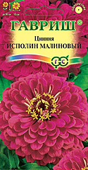 Цинния ИСПОЛИН малиновый 0,3гр ГВ