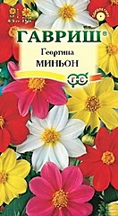 Георгина МИНЬОН смесь 0,3гр ГВ