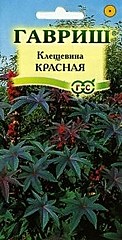 Клещевина КРАСНАЯ 5шт ГВ