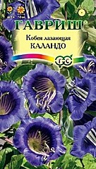 Кобея КАЛАНДО 5шт ГВ